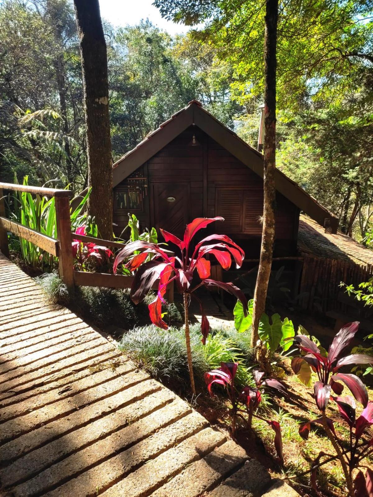 Hotel Pássaro de Fogo Santo Antônio do Pinhal Esterno foto